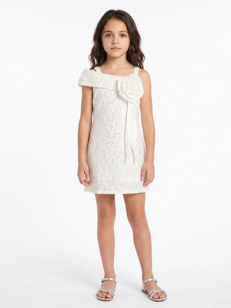 Girls Design Net Dress